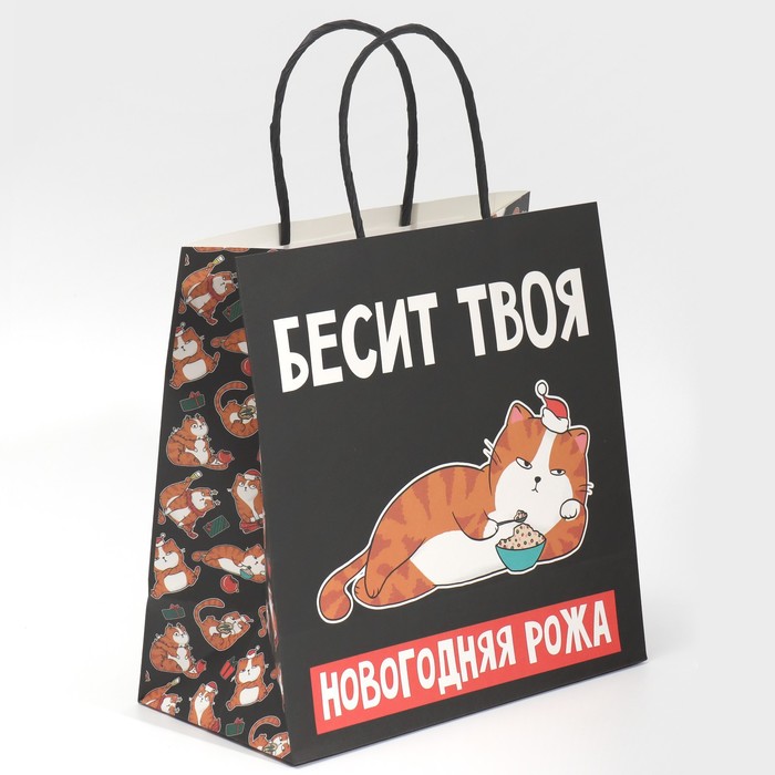 

Пакет подарочный «Рожа», 22 × 22 × 11 см