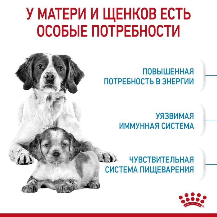 

Сухой корм RC Medium Starter Mother & babydog для щенков, 12 кг