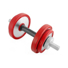 

Гантель наборная обрезиненная 10 кг, цвет серебристый/красный