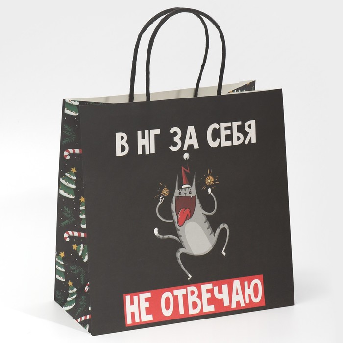 Пакет подарочный «Вообще не отвечаю», 22 × 22 × 11 см пакет подарочный не будь оленем 22 × 22 × 11 см 1 шт