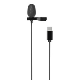 Микрофон RITMIX RCM-210 Black, в комплекте держатель-клипса, разъем type-c, кабель 2 м Ош