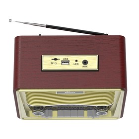 

Радиоприемник RITMIX RPR-088 GOLD, FM, MP3, USB, AUX, Micro SD, ВТ, золотистый