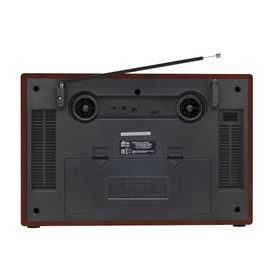 

Радиоприемник RITMIX RPR-102 WOOD, FM, MP3, USB, AUX, Micro SD, ВТ, дерево