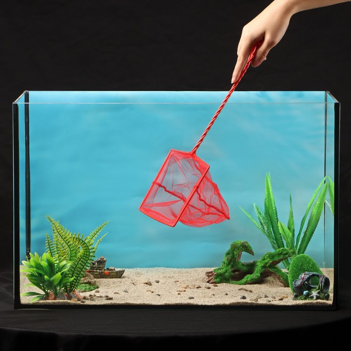 фото Сачок аквариумный 15 см, красный
