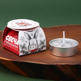 

Новогодняя свеча чайная «Снежный кролик», без аромата, 4 х 4 х 1,5 см.