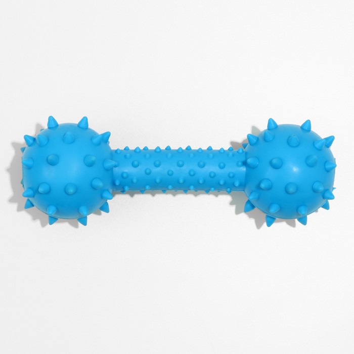 фото Игрушка жевательная "грозная гантель", 15 х 5 см, синяя пижон