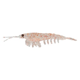

Приманка NIKKO Okiami Shrimp L, 58 мм, 5 шт., набор, 02418_2092