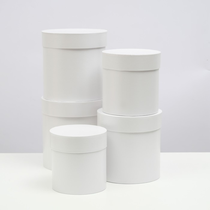Набор шляпных коробок 5 в 1 Белизна, 20 × 20 × 20 ‒ 13,5 × 13,5 × 13,5 см