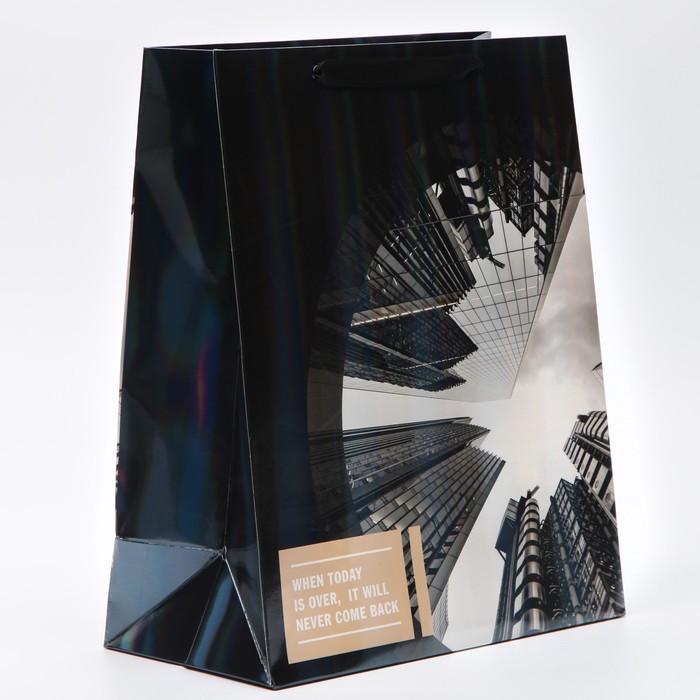 Пакет ламинированный горизонтальный «Небоскреб», М 26 × 32 × 12 см