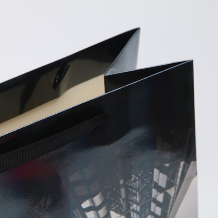 Пакет ламинированный горизонтальный «Небоскреб», М 26 × 32 × 12 см