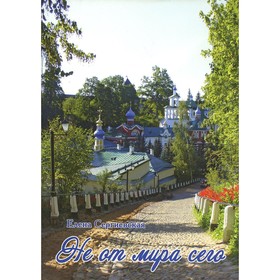 

Не от мира сего. Сергиевская Е.