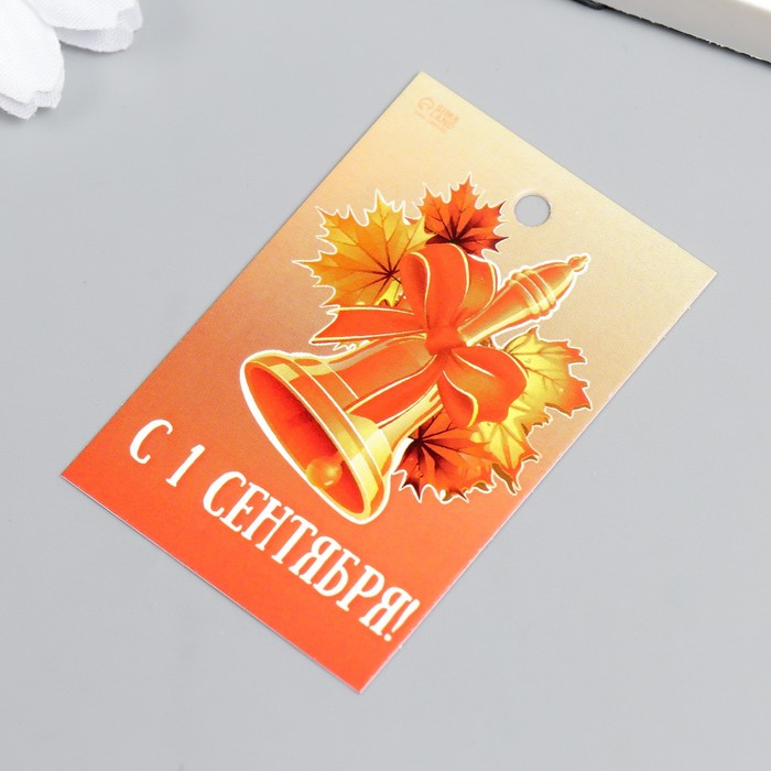 

Бирка "1 сентября" 4х6 см
