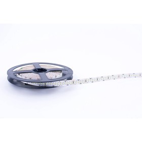 

Светодиодная лента SWG, 12В, SMD3014, 5 м, IP20, 24 Вт/м, 240 LED/м, БЕЛЫЙ