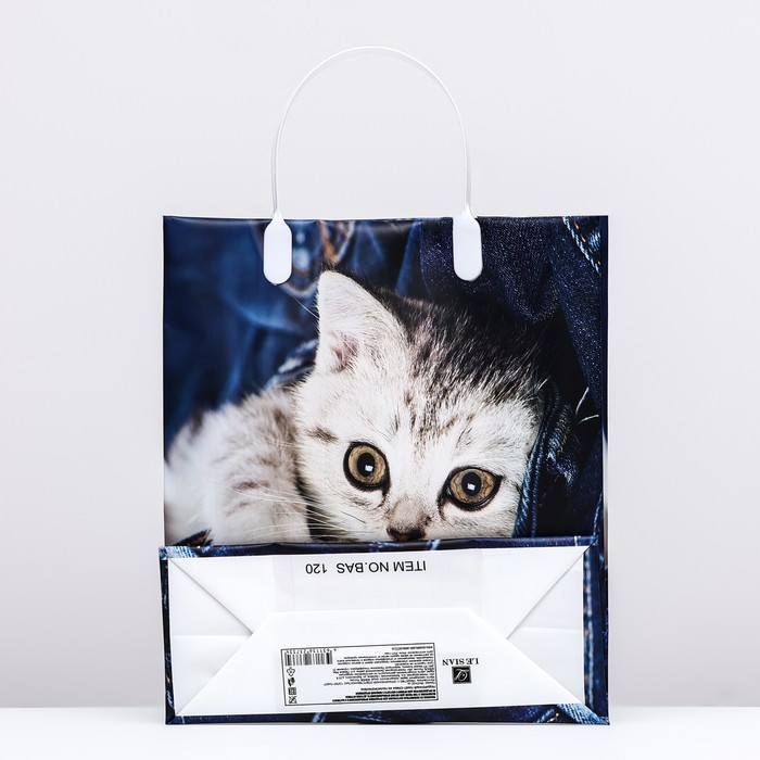 Пакет "Котенок на джинсах", мягкий пластик, 26 x 23 см, 100 мкм