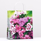 Пакет "Садовые цветы", мягкий пластик, 26 x 23 см, 100 мкм