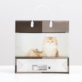 

Пакет "Котята", мягкий пластик, 30 x 30 см, 100 мкм