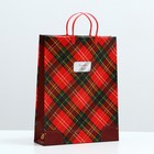 Пакет "Шотландия", мягкий пластик, 40 x 32 см, 120 мкм