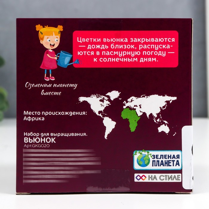 

Подарочный набор для выращивания с глиняным горшочком (Вьюнок)