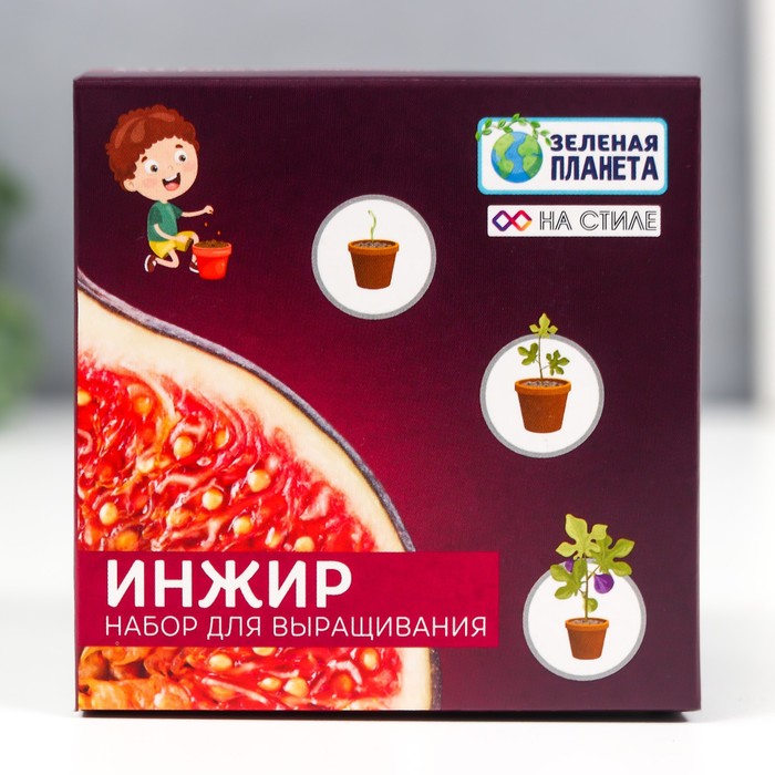 

Подарочный набор для выращивания с глиняным горшочком (Инжир)