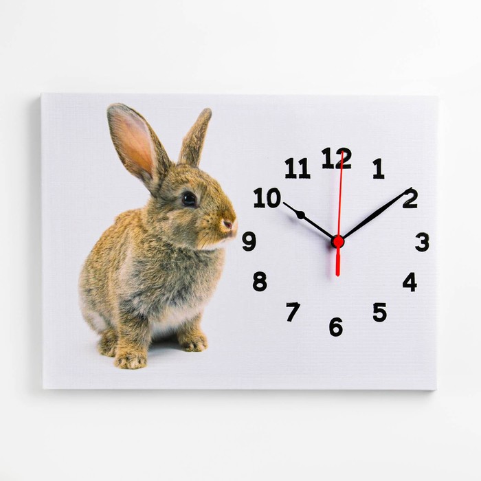Часы-картина настенные Заяц, плавный ход, 30 х 40 см, 1 АА
