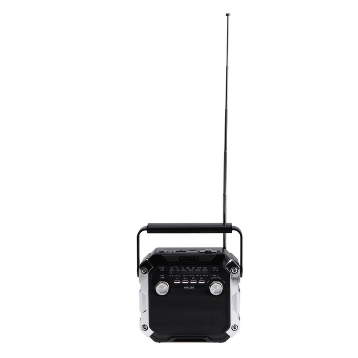 Радиоприёмник "Сигнал РП-228", 220В, аккумулятор 1200 мАч, USB, SD, чёрный