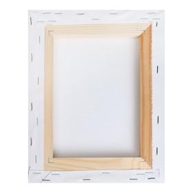 

Холст на подрамнике хлопок 100% акрил грунт 2*20*25 см, 380г/м² с/з Calligrata