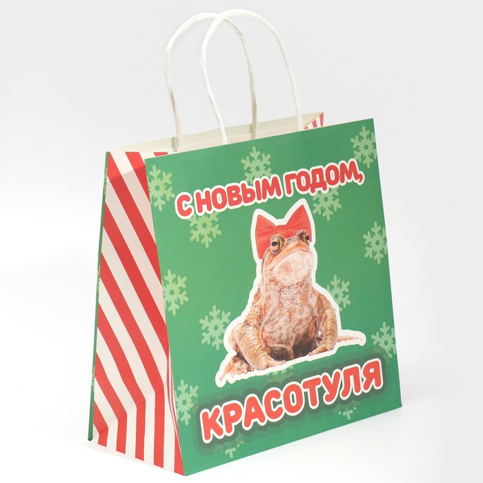 Пакет подарочный «Красотуля», 22 × 22 × 11 см пакет подарочный сотри 22 × 22 × 11 см