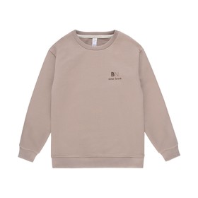 

Свитшот для мальчиков, рост 134 см, цвет капучино