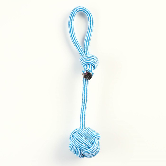 Игрушка-дразнилка для собак с шариком из каната, до 85 г, до 38 см, голубая/белая