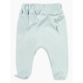 

Ползунки короткие Le Fleur, рост 74 см, цвет полынь