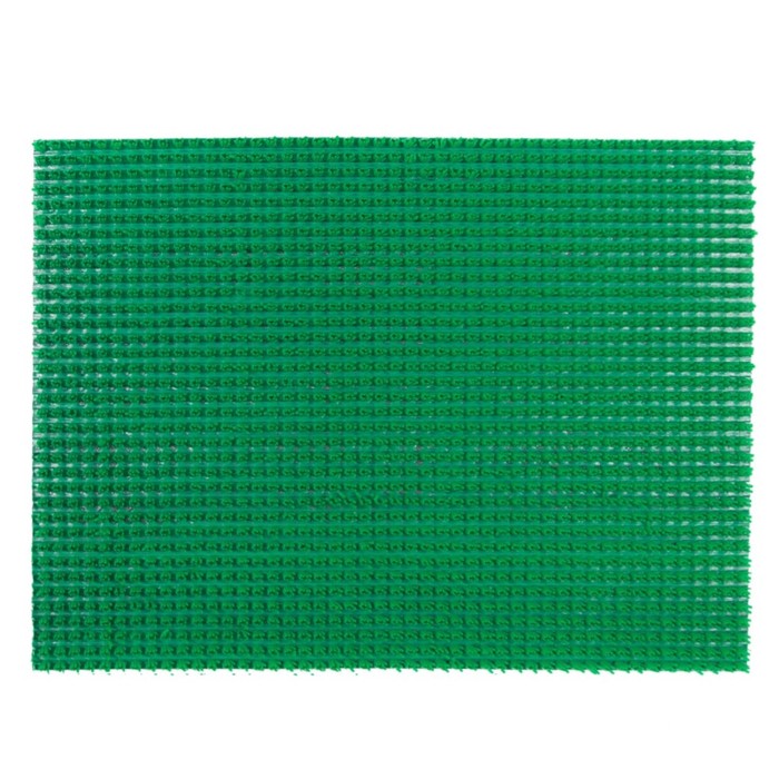 фото Коврик-щетинка sunstep, 45х60 см, цвет зелёный