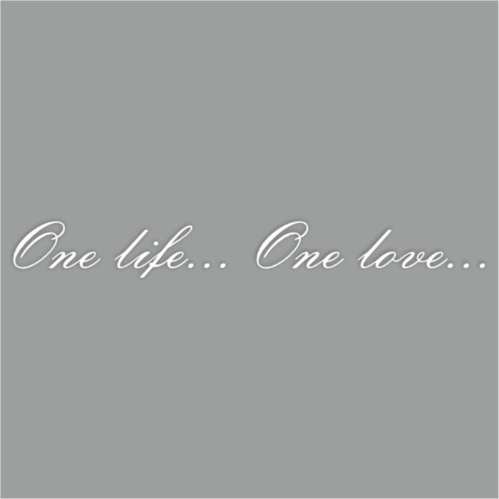 Наклейка One life...One love..., белая, плоттер, 400 х 55 х 1 мм