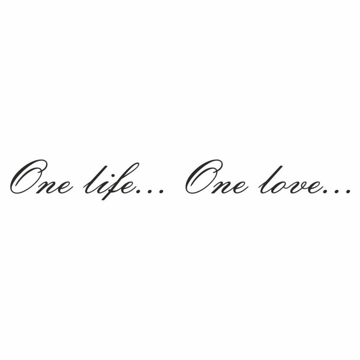Наклейка One life...One love..., черная, плоттер, 400 х 55 х 1 мм