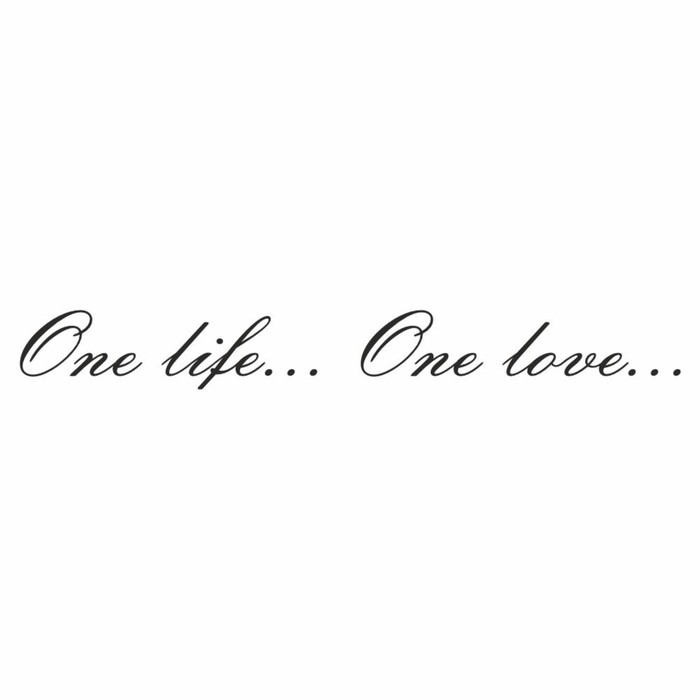 Наклейка One life...One love..., черная, плоттер, 400 х 55 х 1 мм наклейка найду асфальт поеду быстрее белая плоттер 400 х 55 х 1 мм