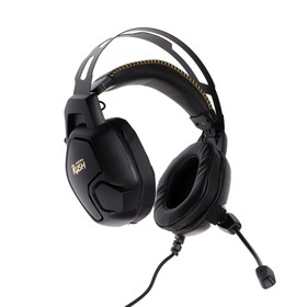 

Наушники Smartbuy RUSH AMBITION, игровые, микрофон, 3.5 мм + USB, 2.2 м, чёрно-жёлтые