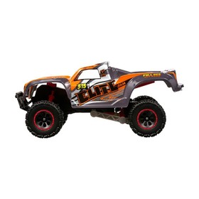 

Машинка на радиоуправлении Nikko Elite Trucks Baja, 30 см