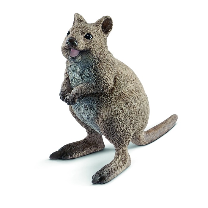 

Фигурка «Короткохвостый кенгуру», Schleich