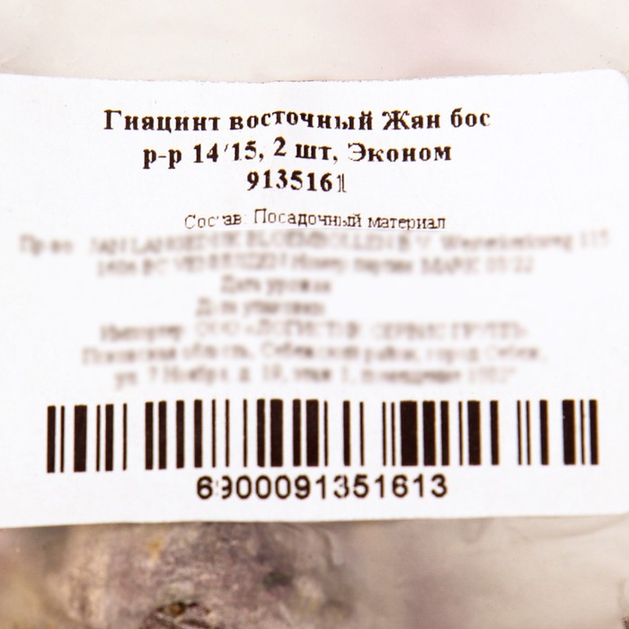

Гиацинт восточный Жан бос, р-р 14/15, 2 шт, Эконом, Осень 2023