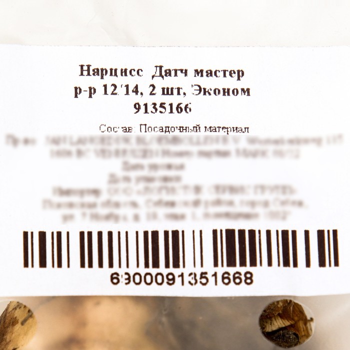 

Нарцисс Датч мастер, р-р 12/14, 2 шт, Эконом, Осень 2023