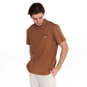 

Футболка поло мужская, цвет коричневый, размер 56 (4XL)