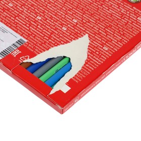 

Пластиковые цветные карандаши 18 цветов, ErichKrause ArtBerry, трёхгранные
