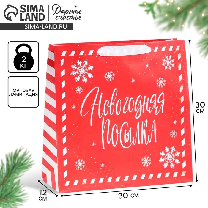

Пакет ламинированный квадратный «Новогодняя посылка», 30 × 30 × 12 см