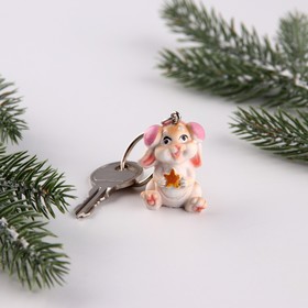 

Брелок полистоун «Талисман счастья», 3 х 3,5 см