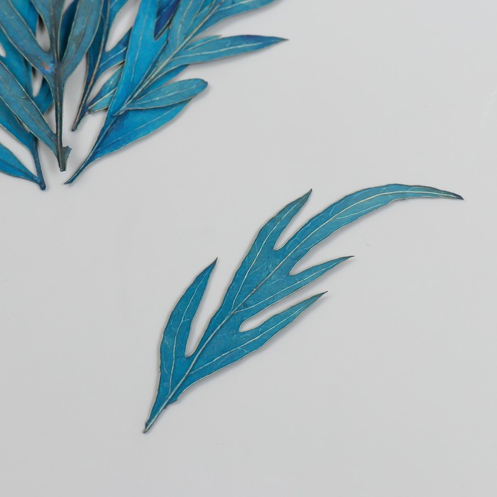 Сухоцвет Лист полыни горькой синий h=5-8 см заготовка для декорирования из пенопласта лист h 8 5 5см 5 шт