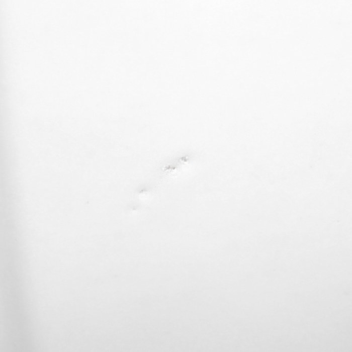 Ваза серия "Лючия"