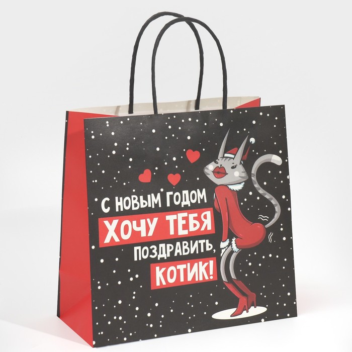 Пакет подарочный «Котик», 22 × 22 × 11 см пакет подарочный сучий год 22 × 22 × 11 см дарите счастье