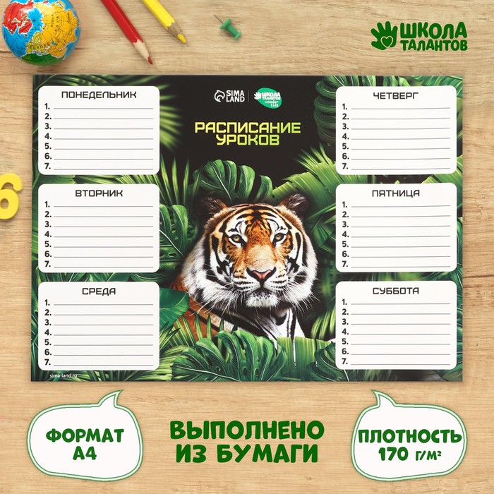 фото Расписание уроков «величественный тигр» а4 школа талантов