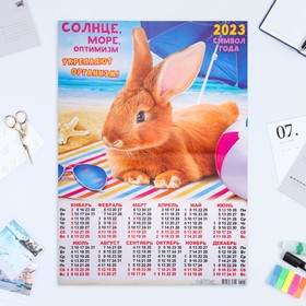 

Календарь листовой "Символ Года 2023 - 22" 2023 год, бумага, А2