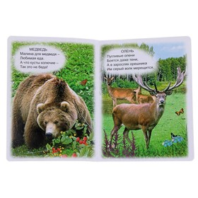 

Любимые стихи о животных