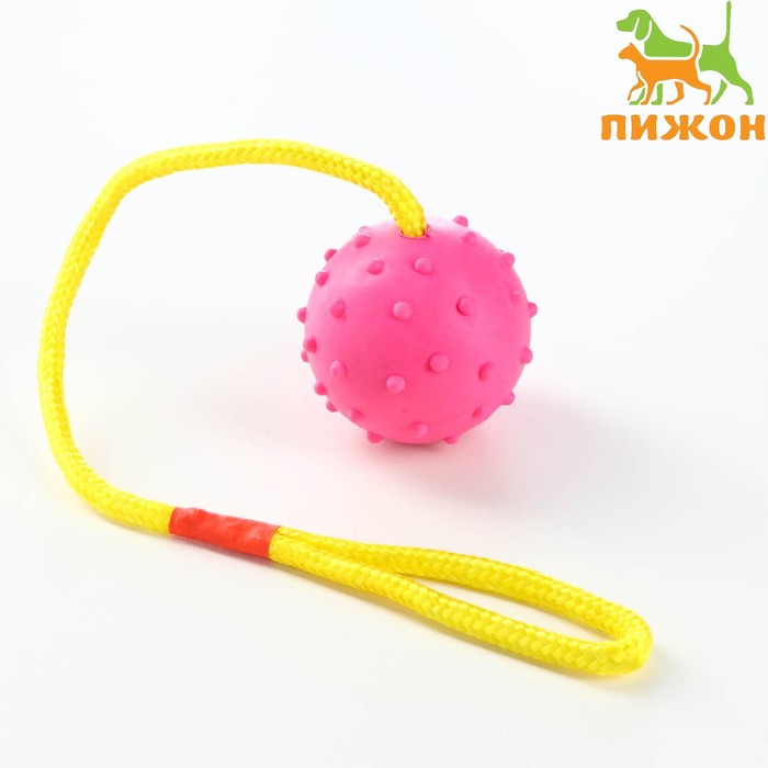 Игрушка мяч на веревке, 6 см, розовая мяч 6 см на веревке цельнолитой резина